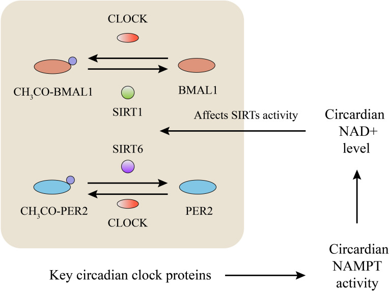 Figure 4