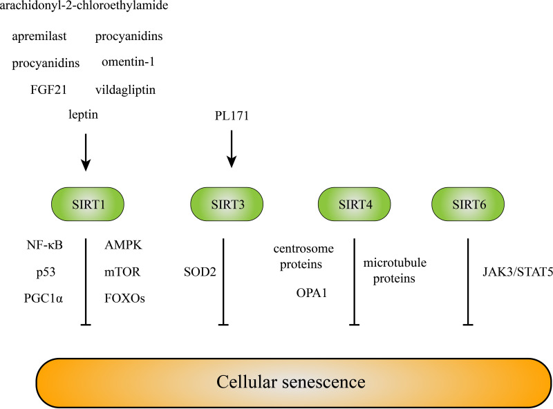 Figure 3