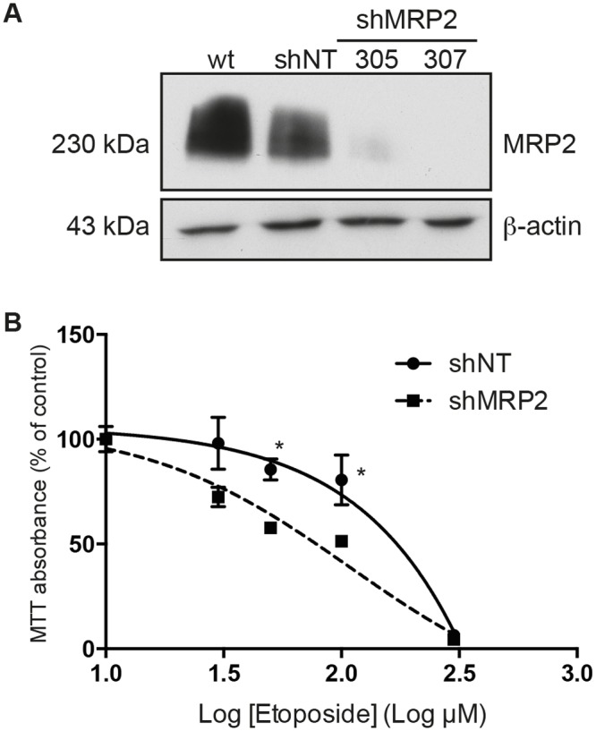 Fig 5