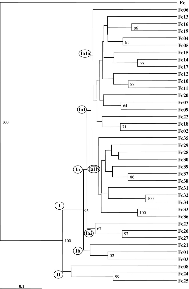 Fig. 2