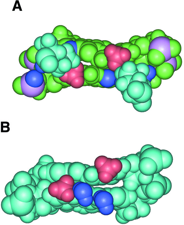 Figure 8