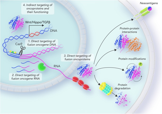 Graphical abstract