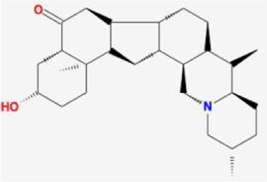 graphic file with name FPHAR_fphar-2022-1049586_wc_tfx6.jpg