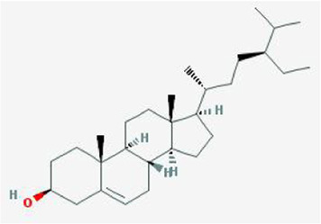 graphic file with name FPHAR_fphar-2022-1049586_wc_tfx2.jpg