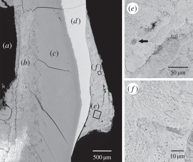 Figure 2.