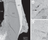 Figure 2.