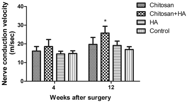 Figure 10.