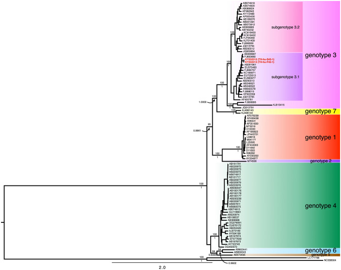 Fig. 3