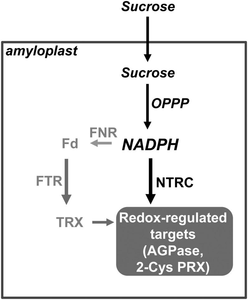 Figure 10.