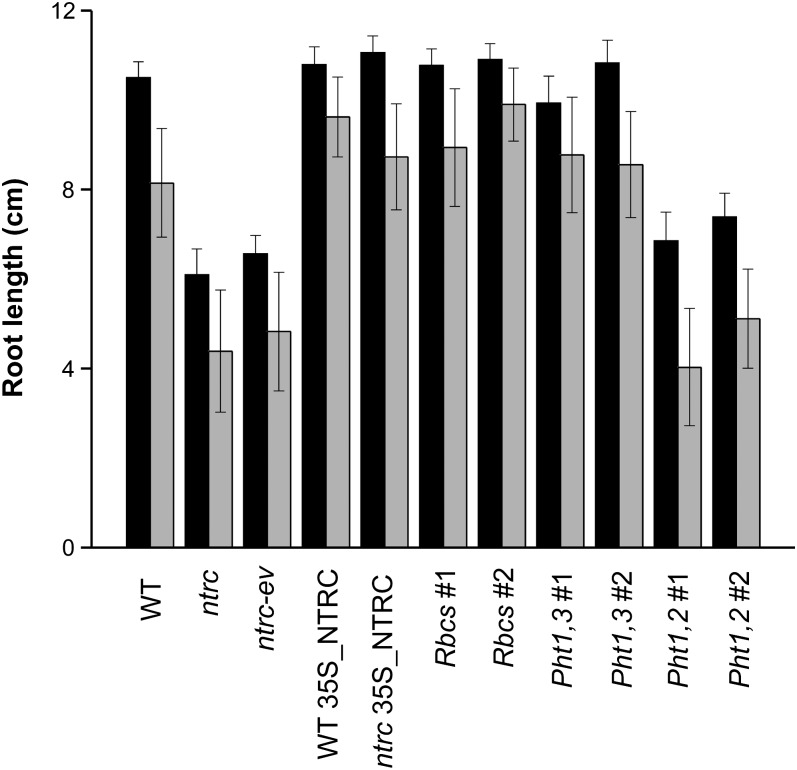 Figure 7.