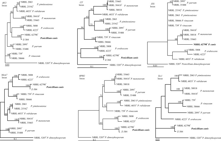 FIG 3