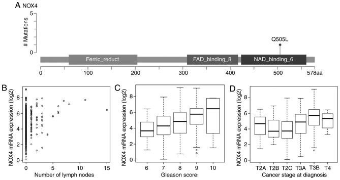 Figure 5.