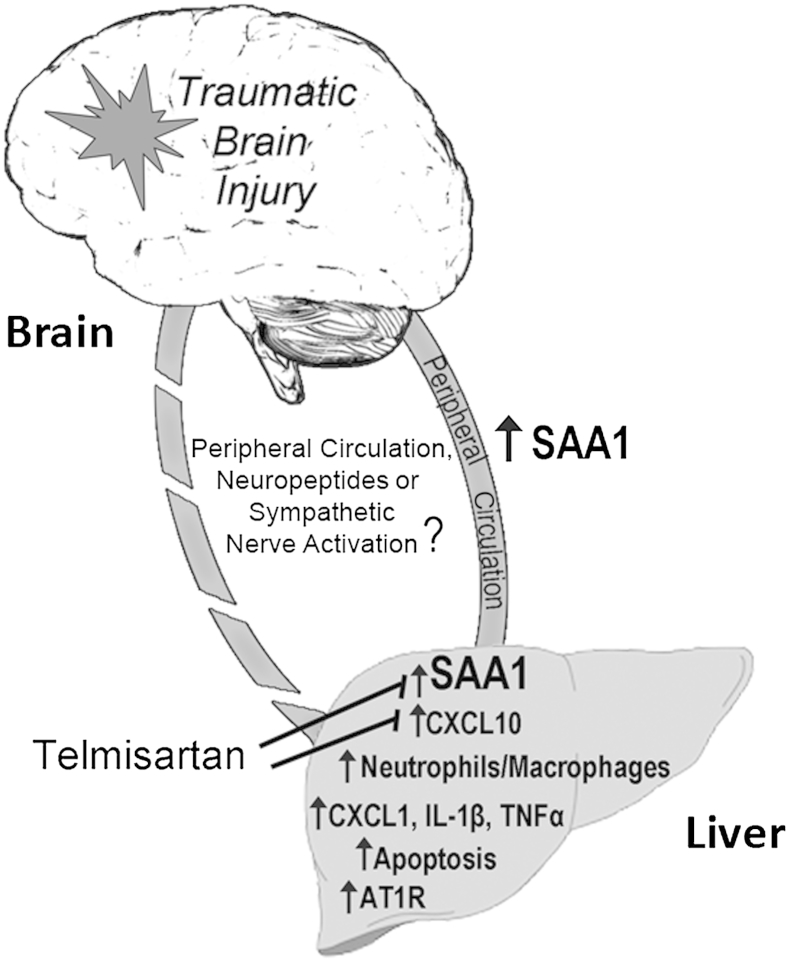 Figure 6