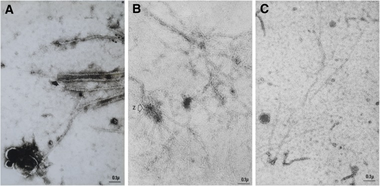 Fig. 10