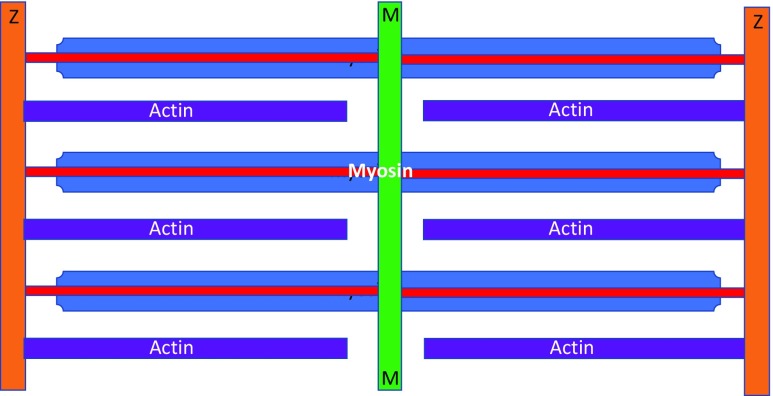 Fig. 5