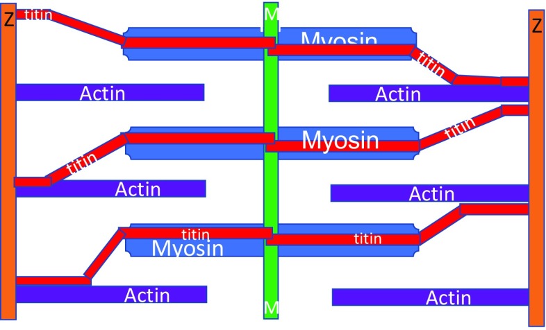 Fig. 13