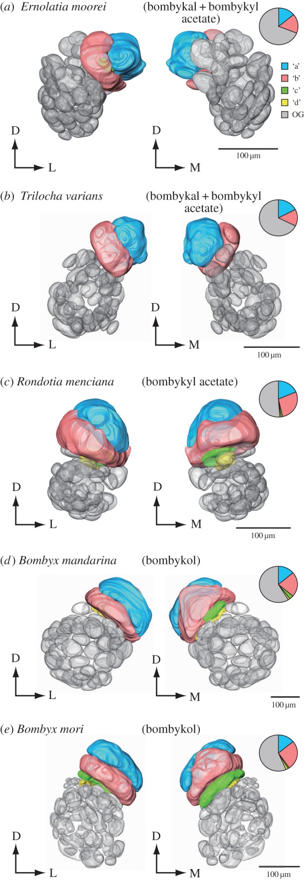 Figure. 1.