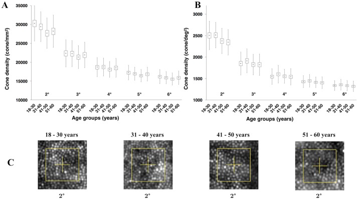 Fig 3