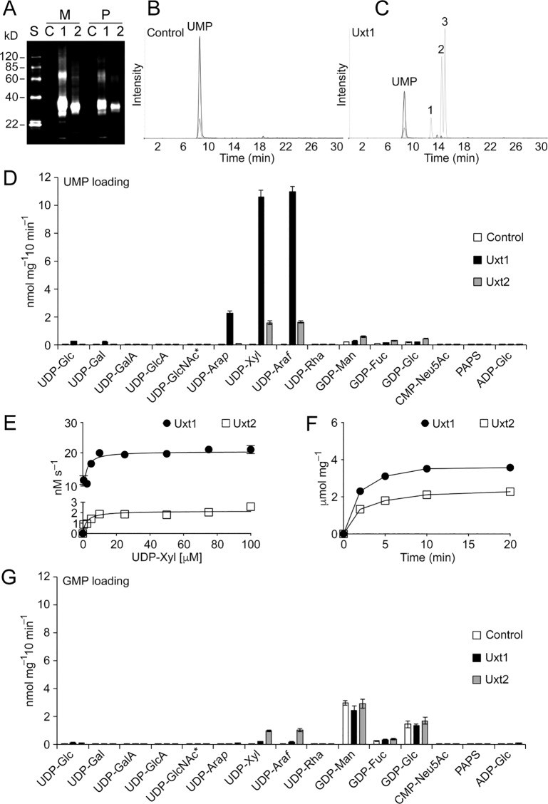 Fig 2