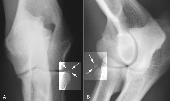 Fig. 21.13