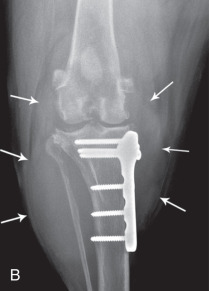 Fig. 21.62