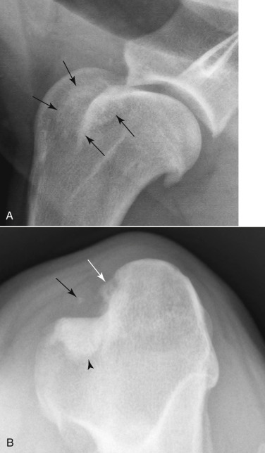 Fig. 21.40