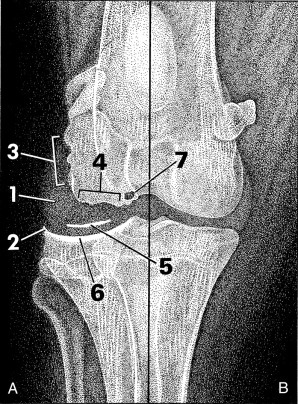 Fig. 21.1