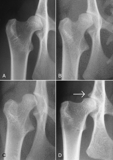 Fig. 21.31