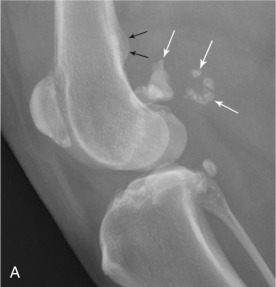 Fig. 21.21