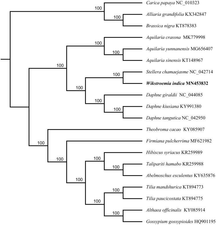 Figure 1.