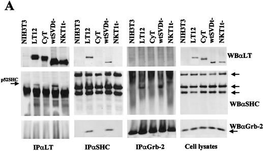 FIG. 5