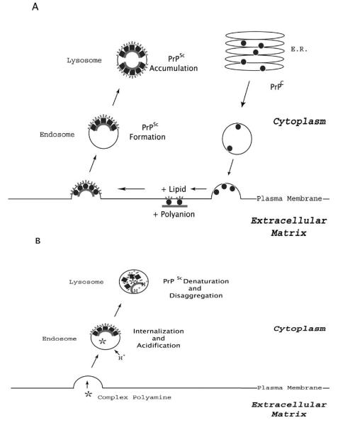 Fig. (1)