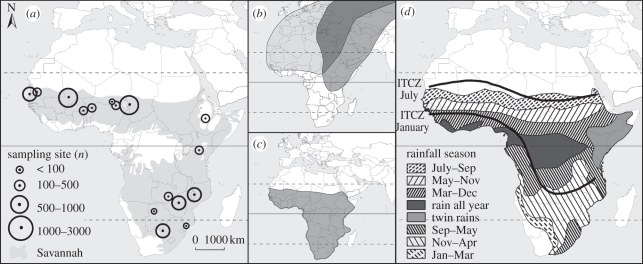 Figure 1.