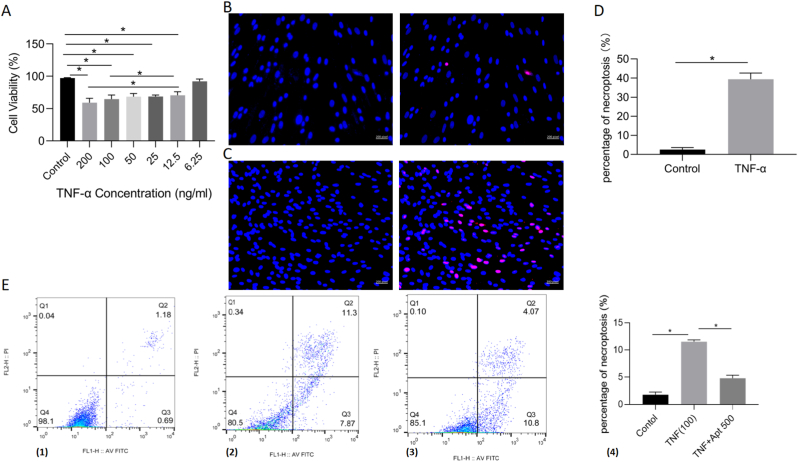 Figure 3