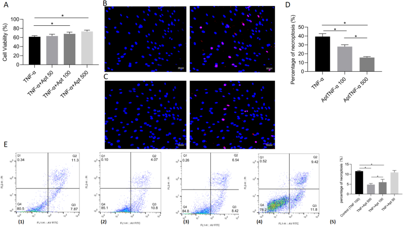 Figure 4