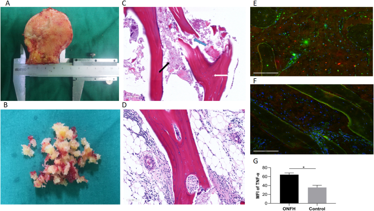 Figure 1