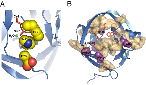 Fig. 6.