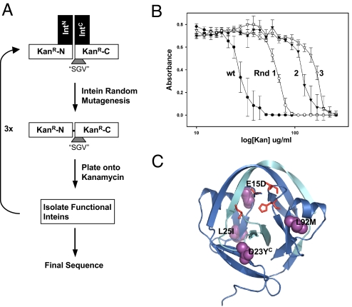 Fig. 4.