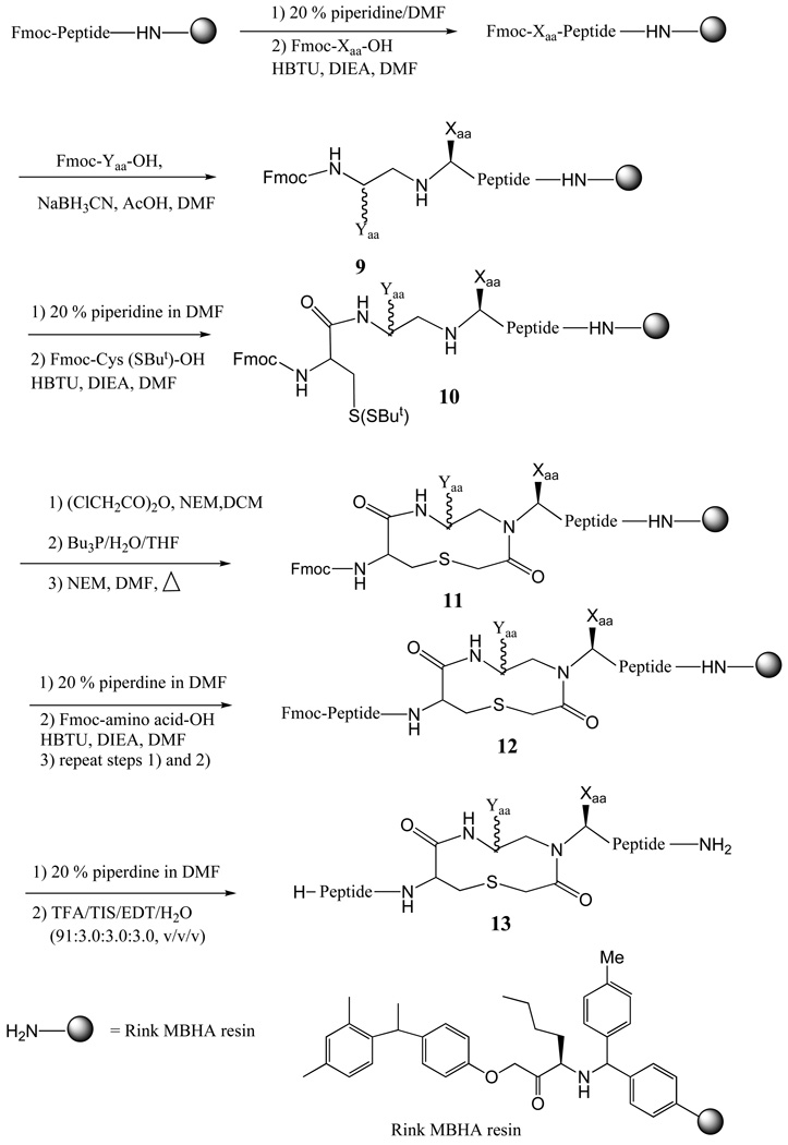 Scheme 1