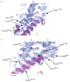 Extended Data Figure 4