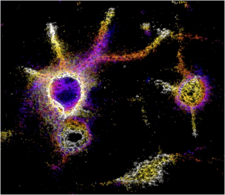 graphic file with name pnas.1815273115fig01.jpg