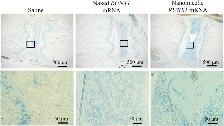 Figure 6