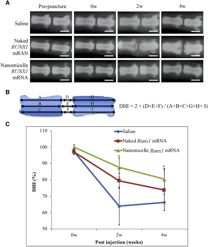 Figure 2