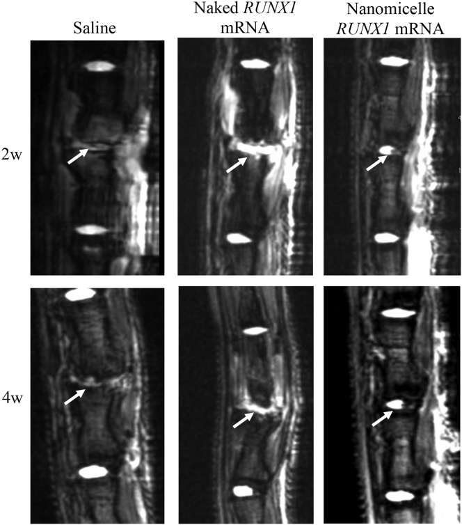 Figure 3