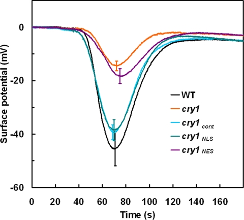 Fig. 4.