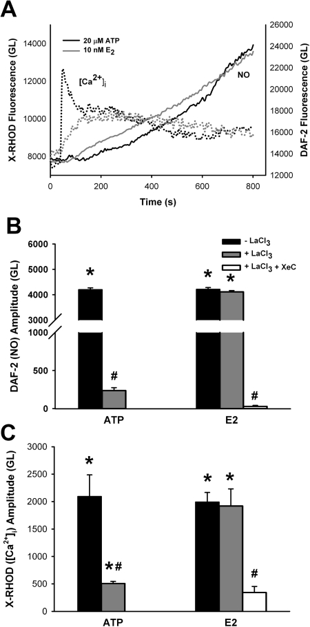 Fig. 8.