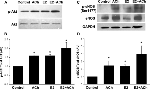 Fig. 10.