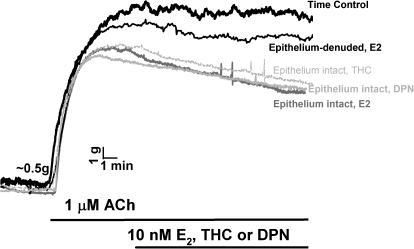 Fig. 11.