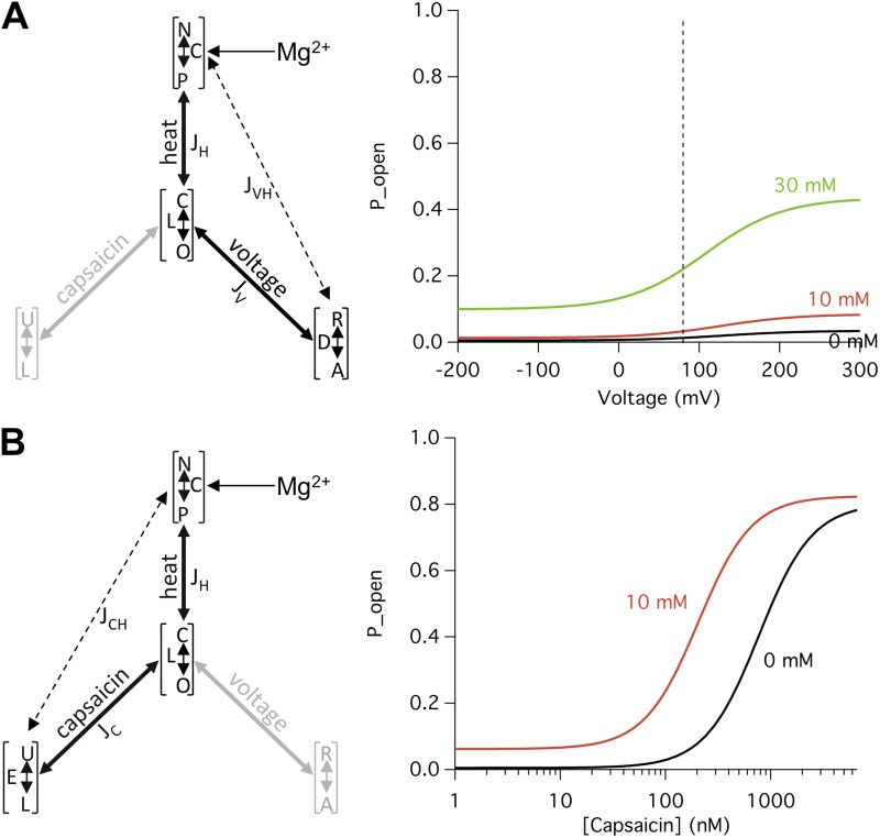 Figure 11.