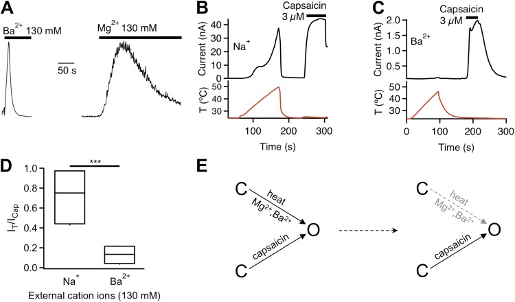 Figure 12.